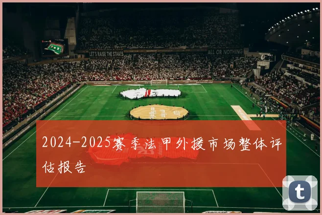 2024-2025赛季法甲外援市场整体评估报告